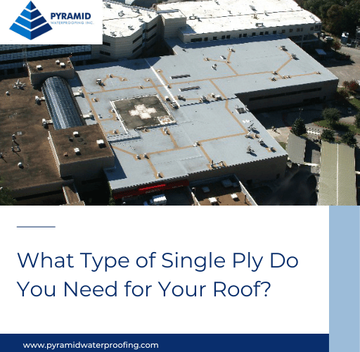 What Type of Single-Ply Do You Need for Your Roof
