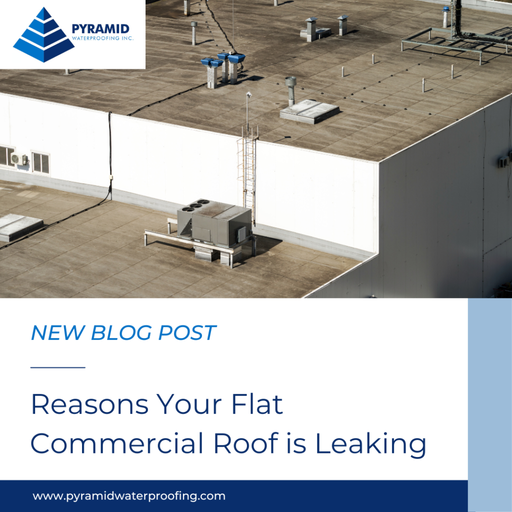 Reasons Your Flat Commercial Roof is Leaking