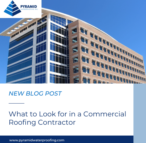 What to Look for in a Commercial Roofing Contractor