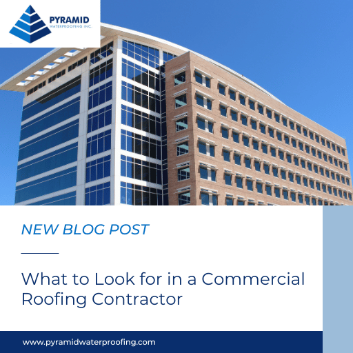 What to Look for in a Commercial Roofing Contractor