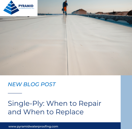 Single-Ply: When to Repair and When to Replace