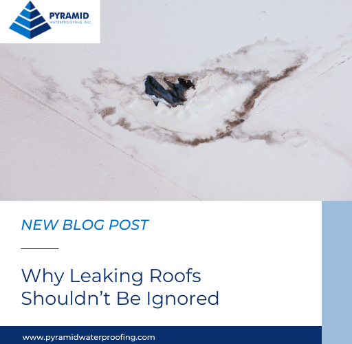 Why a Leaking Roof Shouldn’t be Ignored