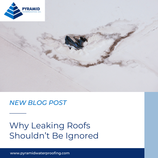 Why a Leaking Roof Shouldn’t be Ignored