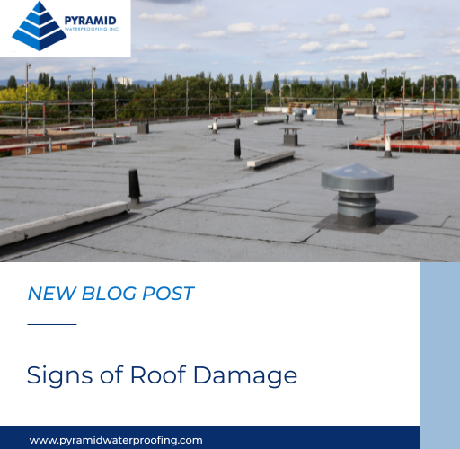 Signs of Roof Damage