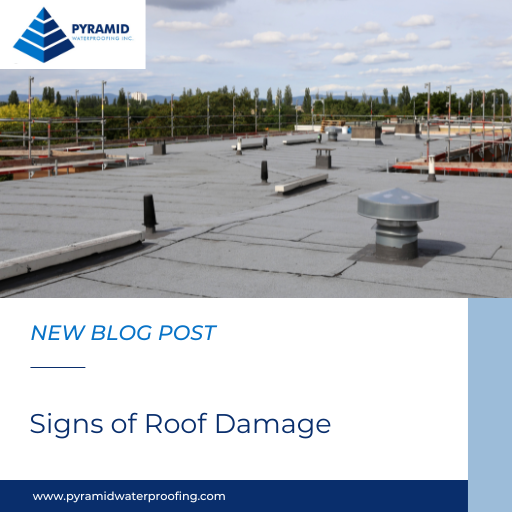 roof damage