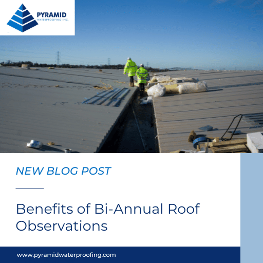 Benefits of Bi-Annual Roof Observations
