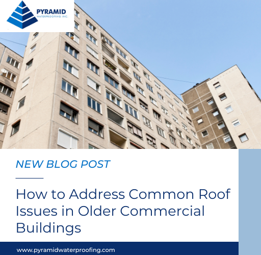 How to Address Common Roof Issues in Older Commercial Buildings