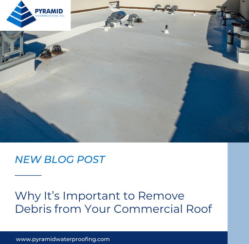 Why It’s Important to Remove Debris from Your Commercial Roof