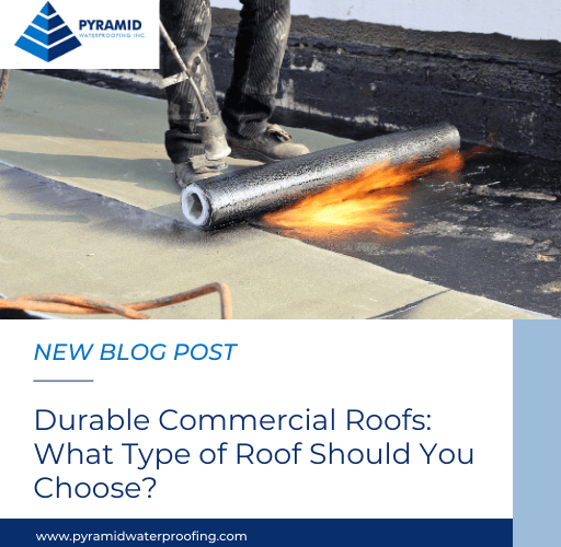 Durable Commercial Roofs: What Type of Roof Should You Choose?