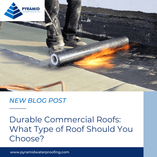 Durable Commercial Roofs: What Type of Roof Should You Choose?