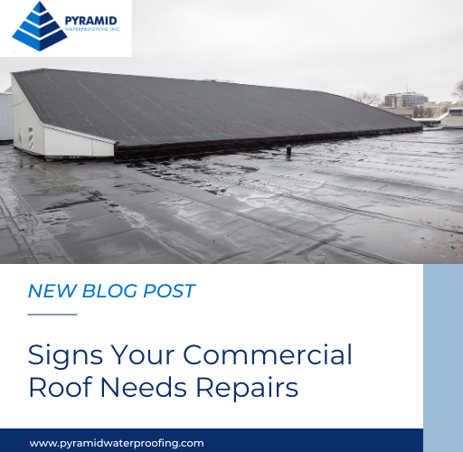 Signs Your Commercial Roof Needs Repairs
