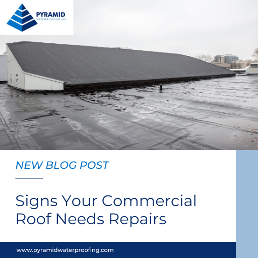 Signs Your Commercial Roof Needs Repairs
